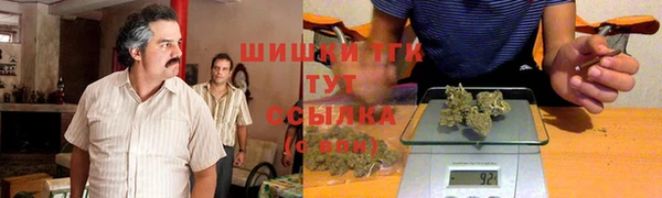 прущий лед Богородицк